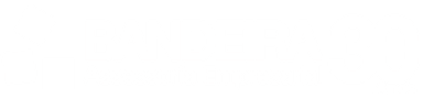 Bandeira Assessoria Empresarial